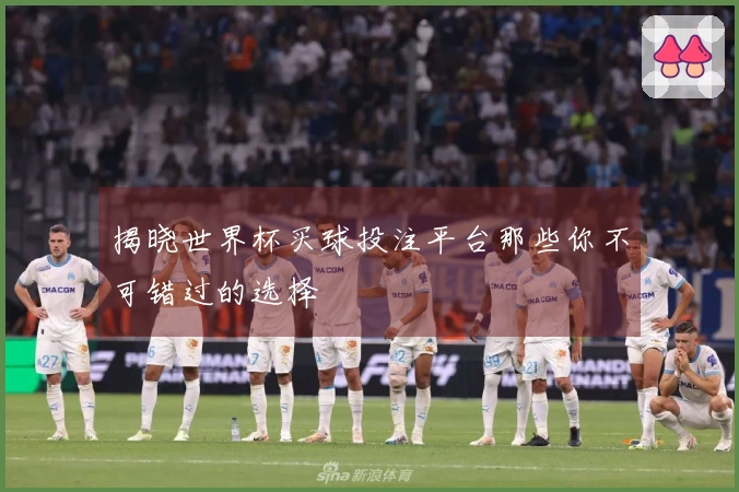 揭晓世界杯买球投注平台那些你不可错过的选择