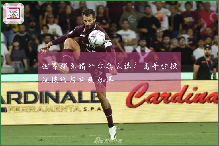 世界杯竞猜平台怎么选？高手的投注技巧与评测分享
