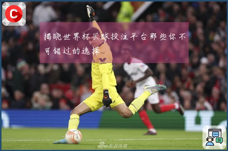 揭晓世界杯买球投注平台那些你不可错过的选择